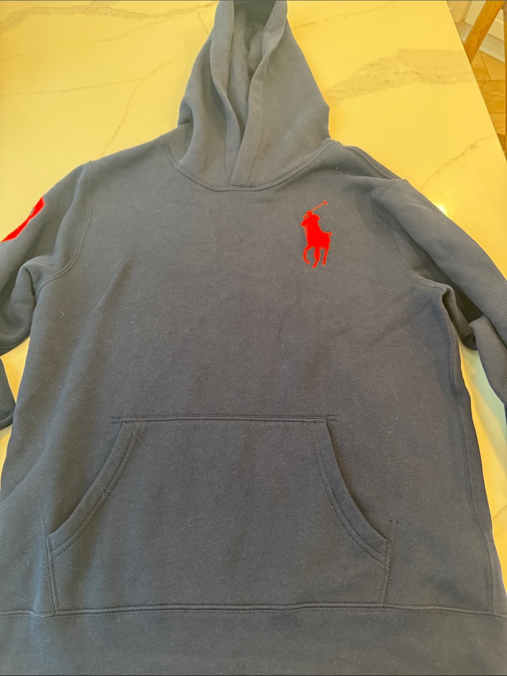 Polo by Ralph Lauren Navy Hoodie with Red Pony Embroidery